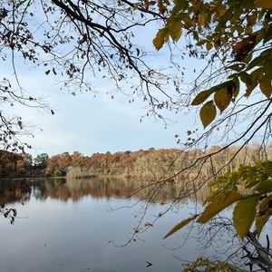 Meet your Posher, Marie